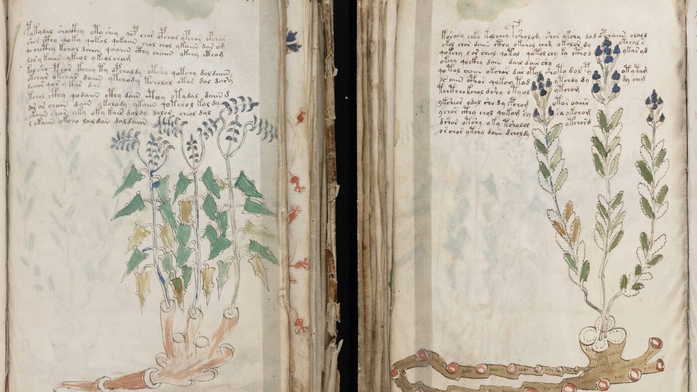An open spread — looping script on one leaf, an impossible plant on the other, both drawn with total confidence.