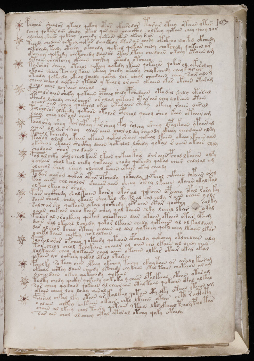 The script itself: twenty to thirty characters, left to right, and not one visible correction in two hundred pages.